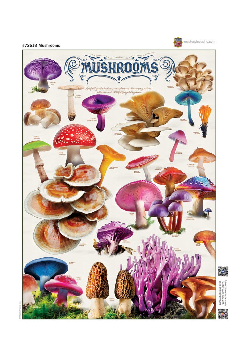 Field Guide Mushrooms 1000 Piece Puzzle, Alternate, color, Multicolor