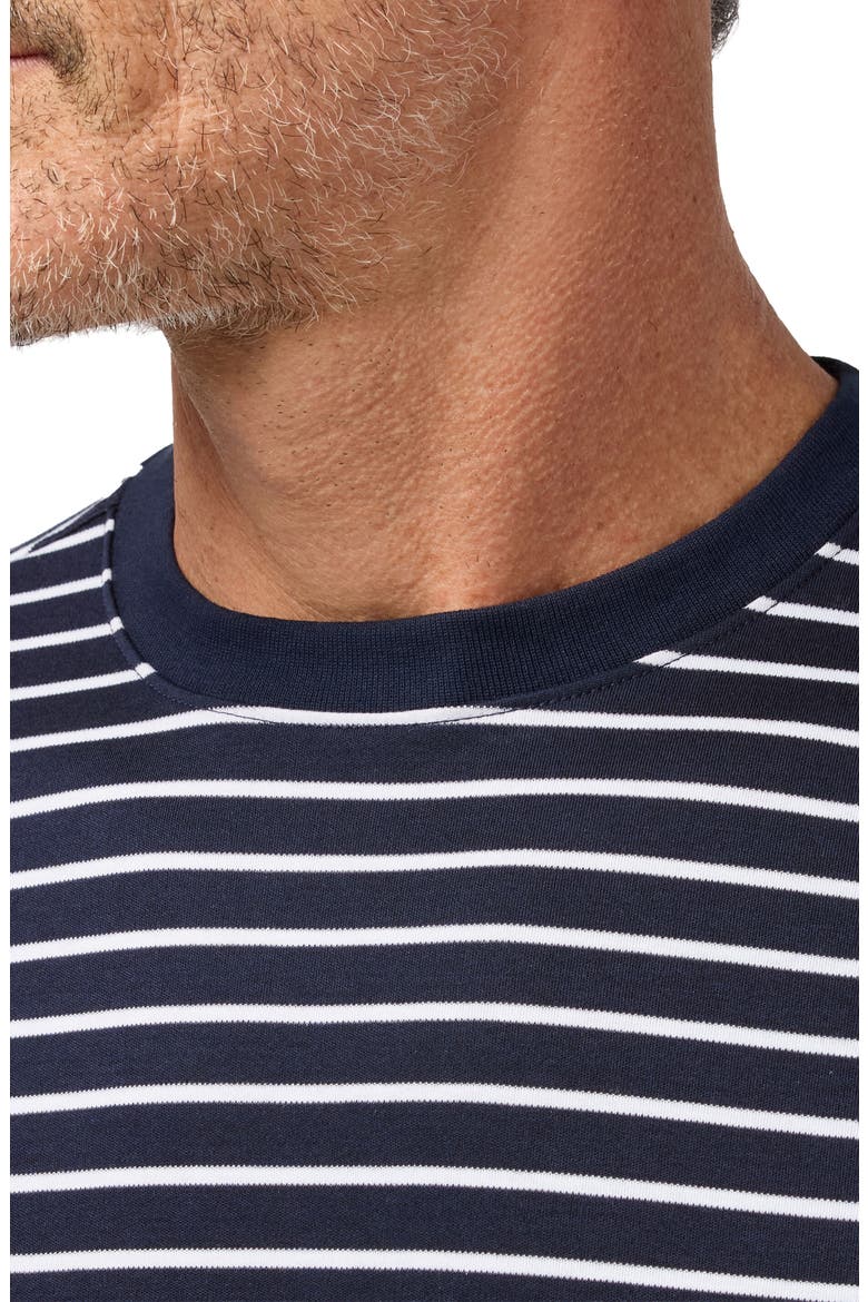 Palmer Stripe Pima Cotton T-Shirt, Alternate, color, NAVY WHITE STRIPE