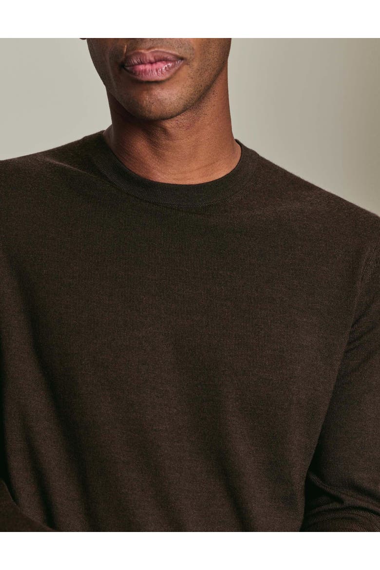 Pure Merino Crew Neck Sweater, Alternate, color, Chocolate Brown