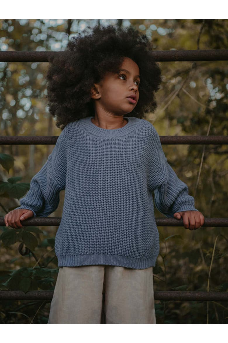 The Chunky Sweater, Alternate, color, cornflower blue