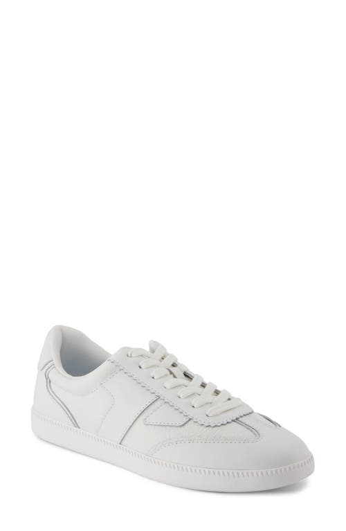 Toms Collins Sneaker
