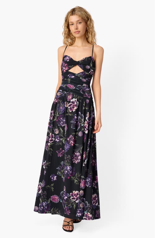 Cami Nyc Tashi Floral Mesh Maxi Dress In Multi