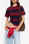  Burgundy Stripe