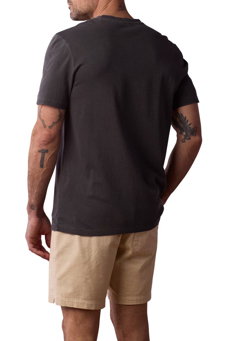 Henley T-Shirt, Alternate, color, SHADOW
