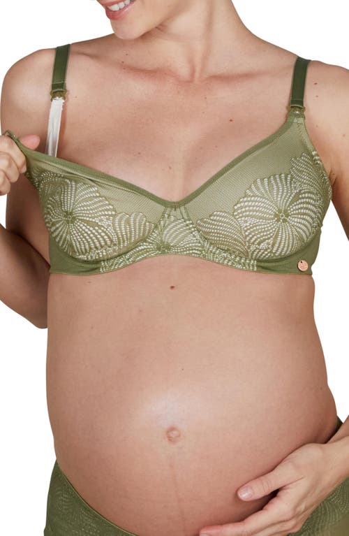 Cache Coeur Dahlia Pregnancy And Nursing Bra In Green