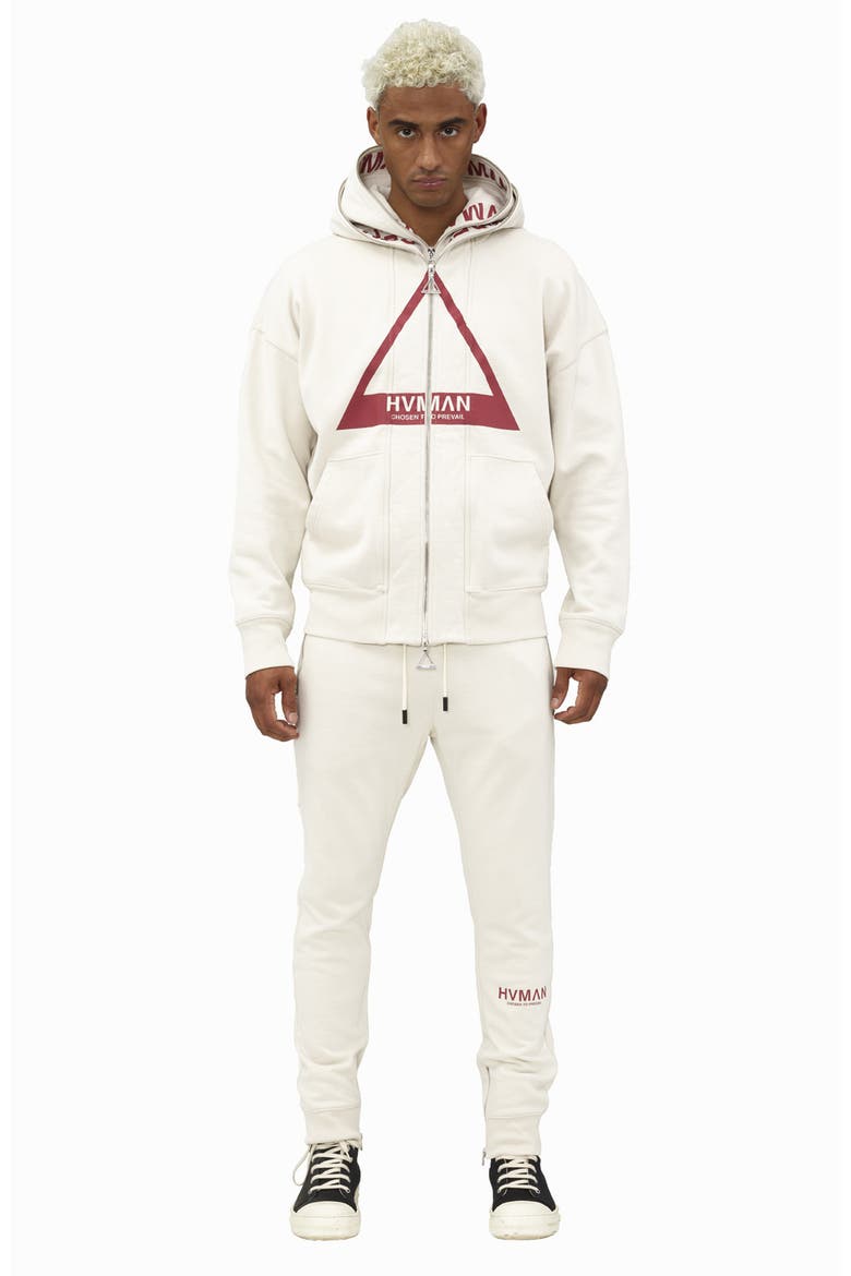 Double Hood Triangle Logo Zip Hoodie, Alternate, color, CREAM