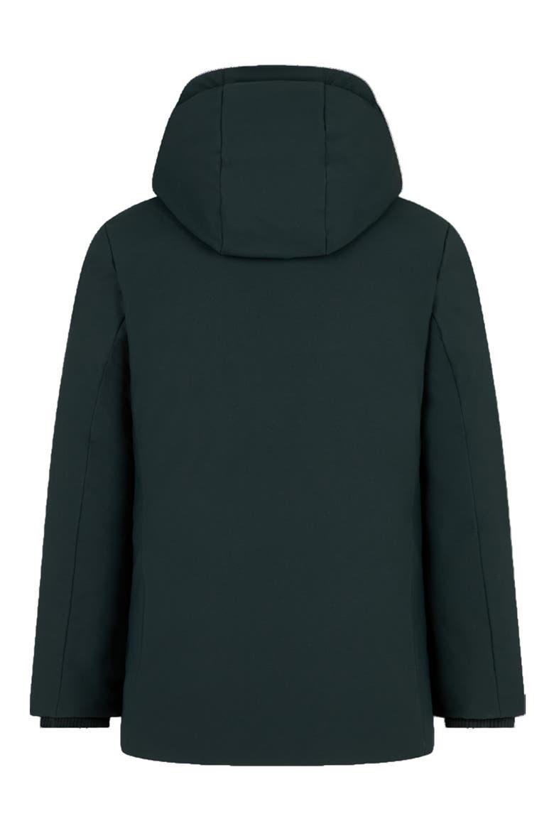 Kids' Theo Hooded Parka, Alternate, color, GREEN BLACK