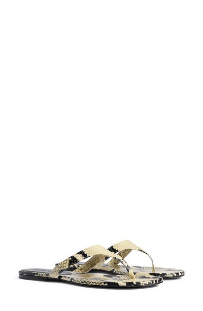 style board product image