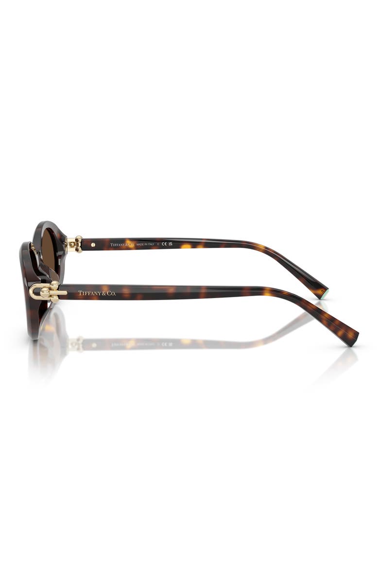 54mm Oval Sunglasses, Alternate, color, HAVANA / LIGHT BROWN