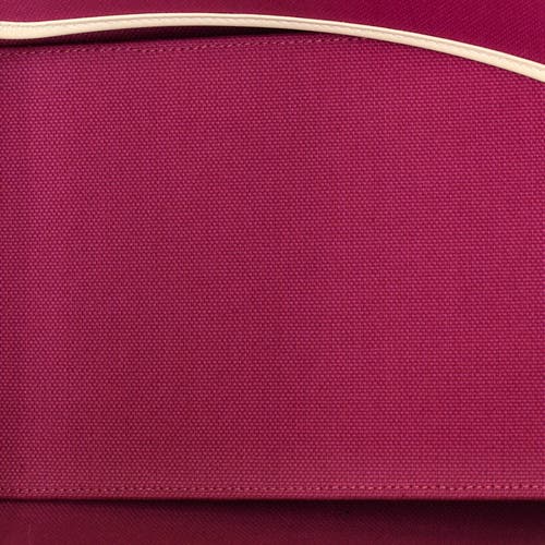 Pre-owned Hermes Hermes Sac Steeple Tote Toile With Leather 25 In Purple