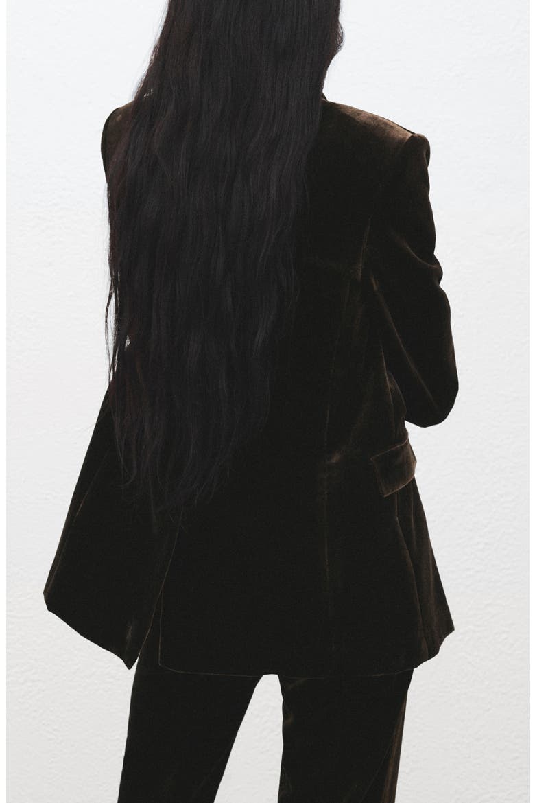 Double Breasted Velvet Blazer, Alternate, color, CHOCOLATE
