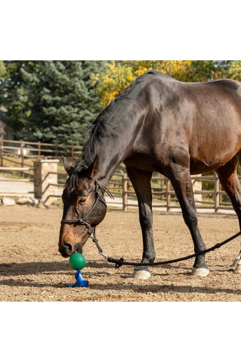 KoreFlex Ball & Tail, Horse Equine Toy, 4.75 Inch Green Ball, Alternate, color, Green