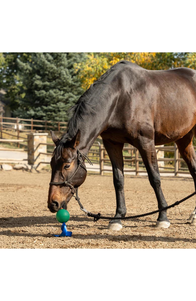 PetKORE KoreFlex Ball & Tail, Horse Equine Toy, 4.75 Inch Green Ball, Alternate, color, Green