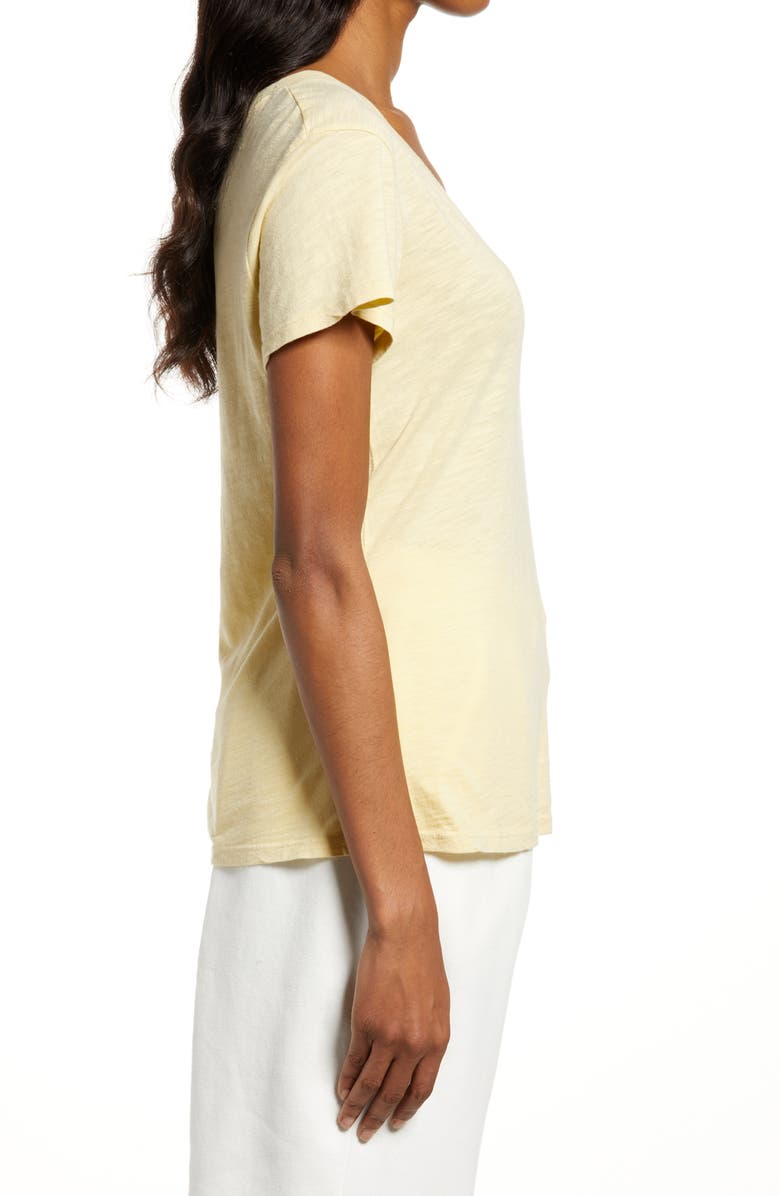 Splendid Botanical V-Neck Cotton & Modal Tee, Alternate, color, 