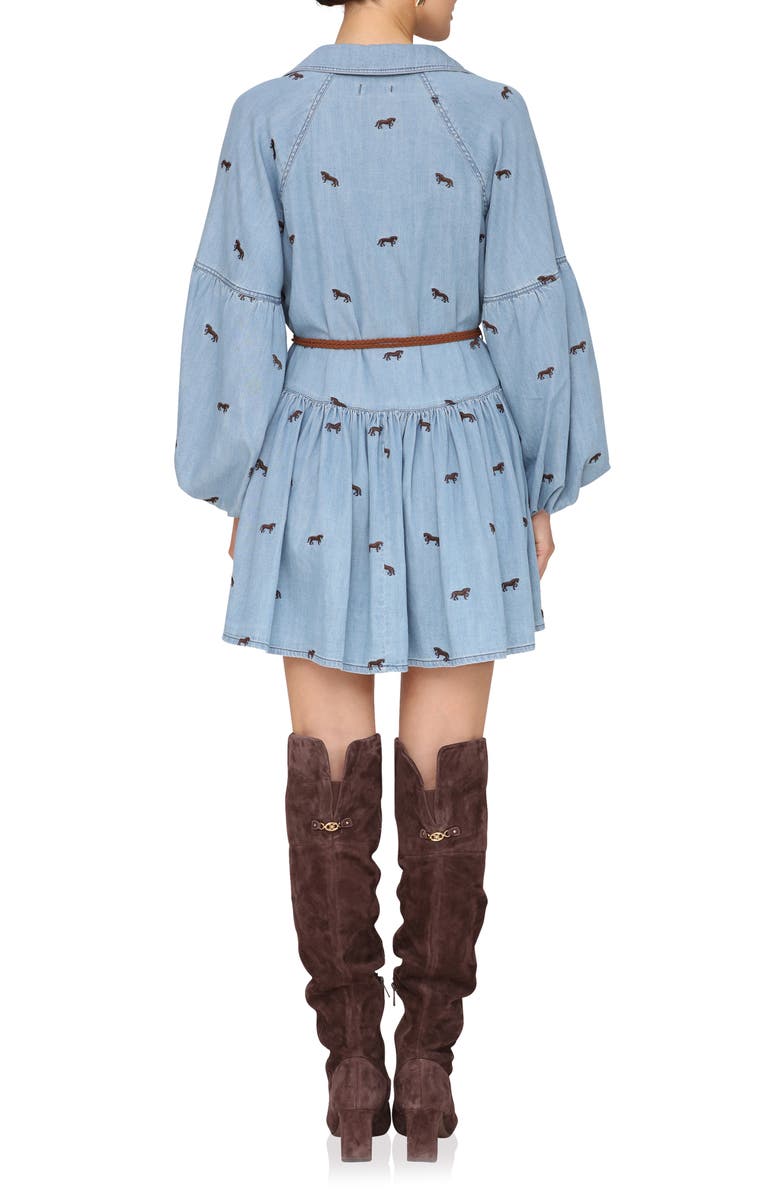 Tie Waist Long Sleeve Chambray Babydoll Dress