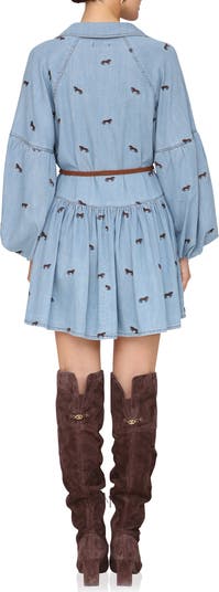 Tie Waist Long Sleeve Chambray Babydoll Dress