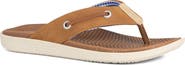 Sperry Kids' Seafish Flip Flop