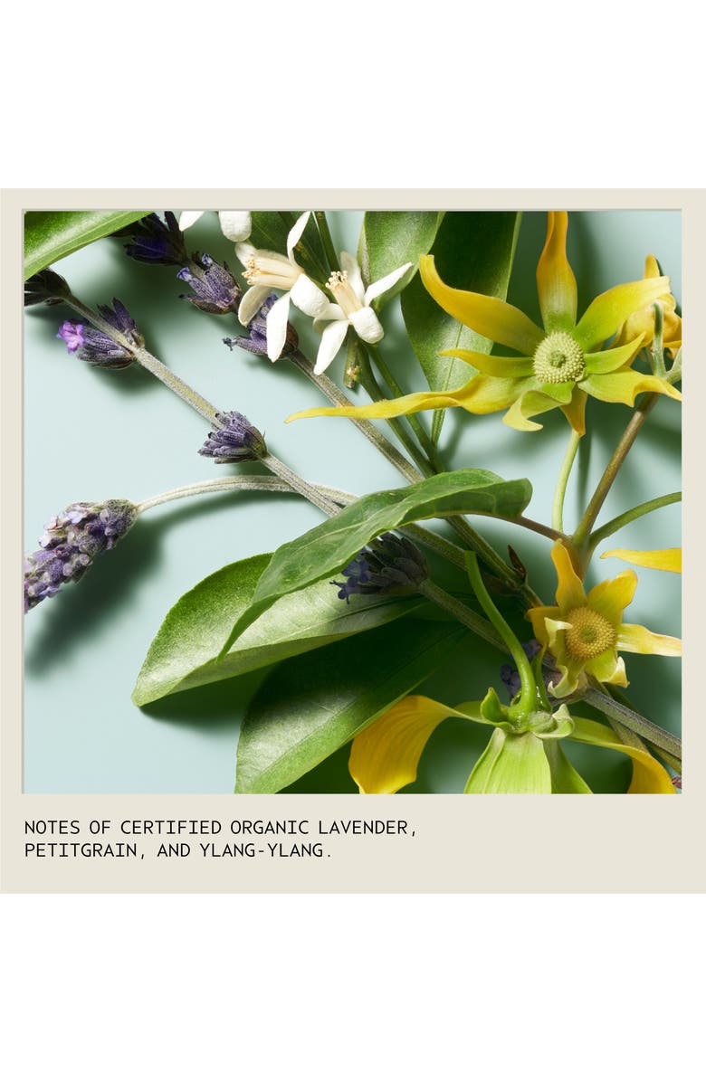 Aveda shampure<sup>™</sup> Nurturing Shampoo, Alternate, color, 