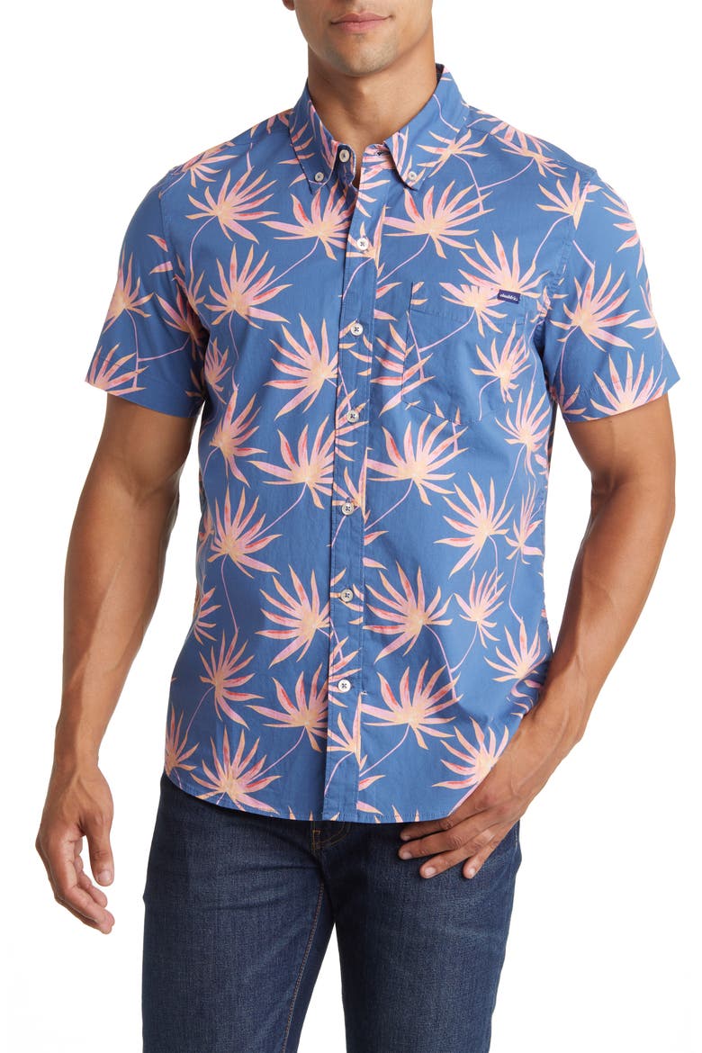 Friday Stripe Stretch Button-Down Shirt, Main, color, THE BIRDS OF PARDISE