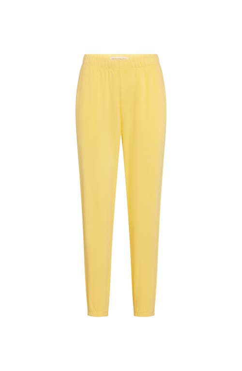 The Standard Stitch The Sweatpant In Yellow