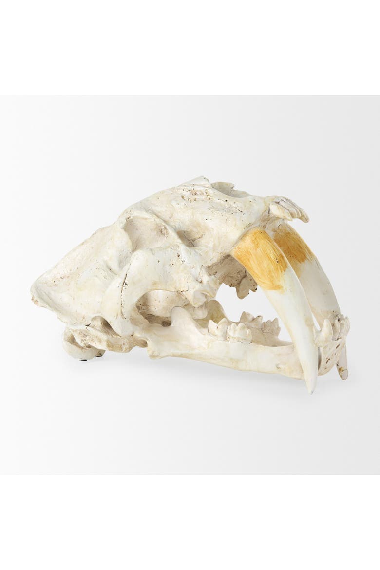 Fozzil 9L x 9W Resin Sabretooth Skull Replica, Alternate, color, Beige