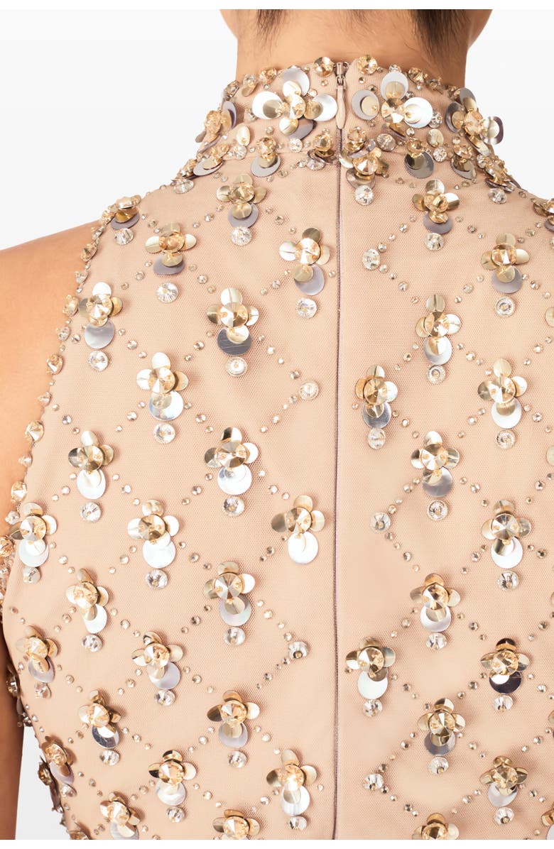 Jenny Packham Aurelia Dress, Alternate, color, Cashmere