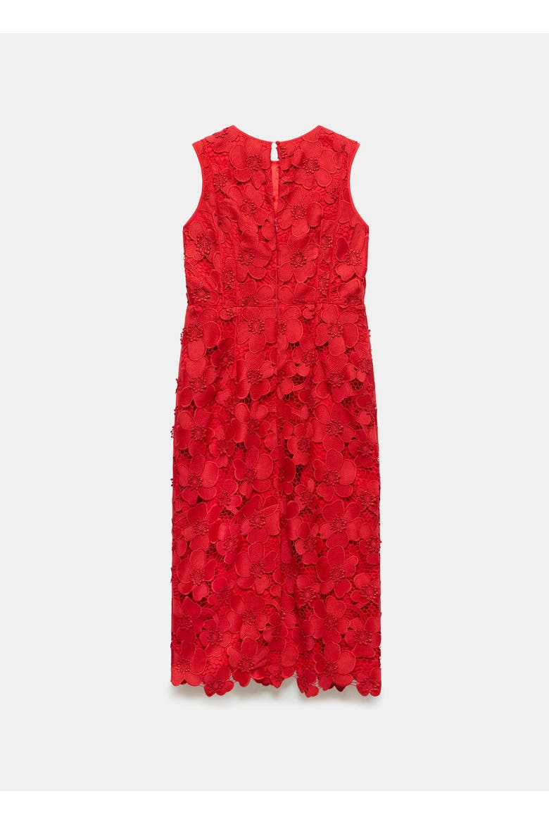 Lace Shift Midi Dress, Alternate, color, Red