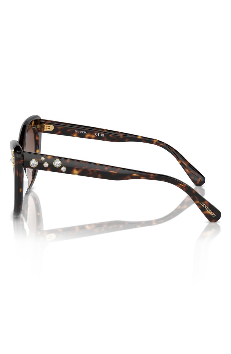 Swarovski 55mm Cat Eye Sunglasses, Alternate, color, Havana