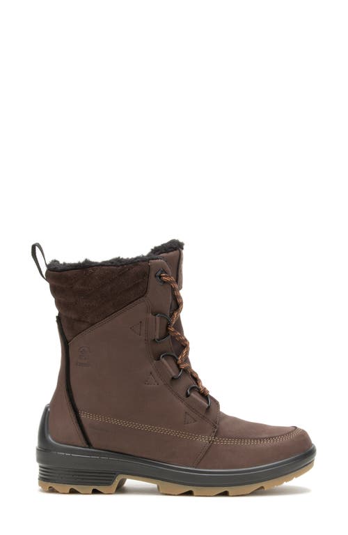 Kamik Deity Waterproof Mid Boot In Brown