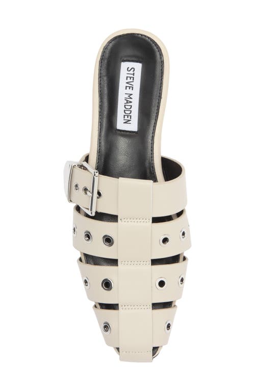 Shop Steve Madden Ladera Mule In Bone Leather