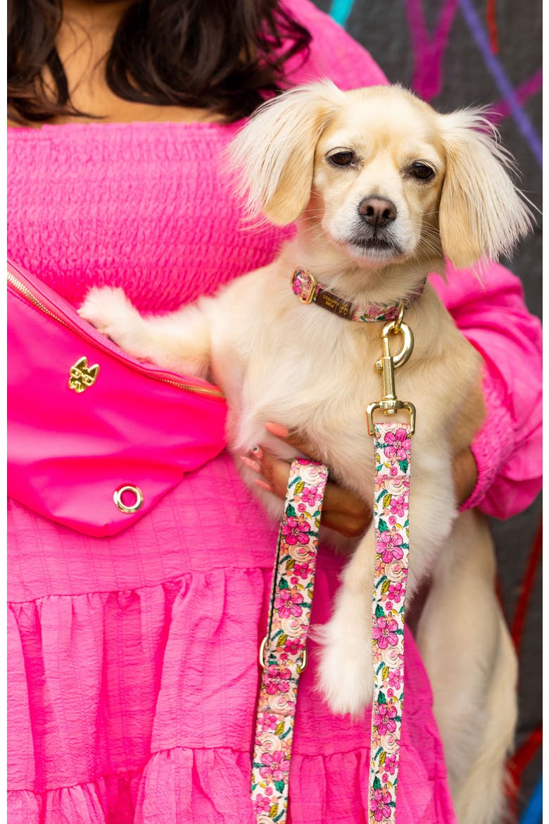 Gianna Dog Leash, Alternate, color, Gianna 4ft