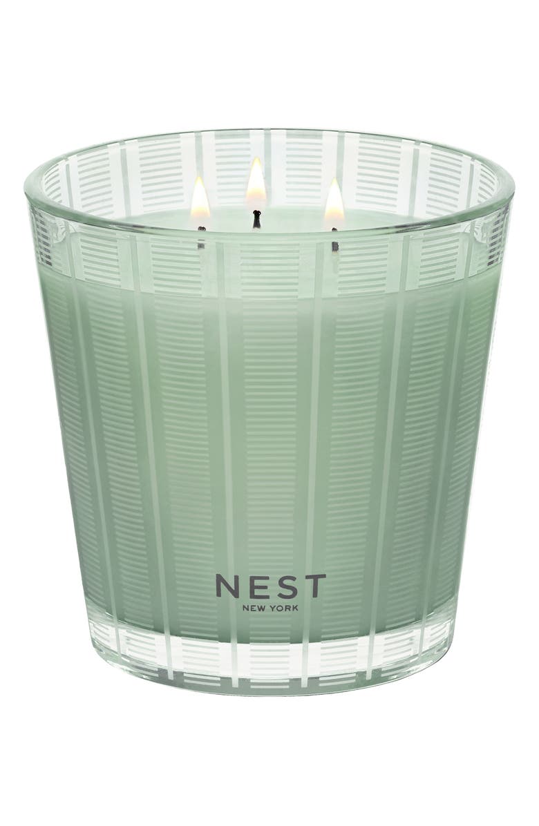 NEST New York Wild Mint & Eucalyptus Scented Candle, Alternate, color,