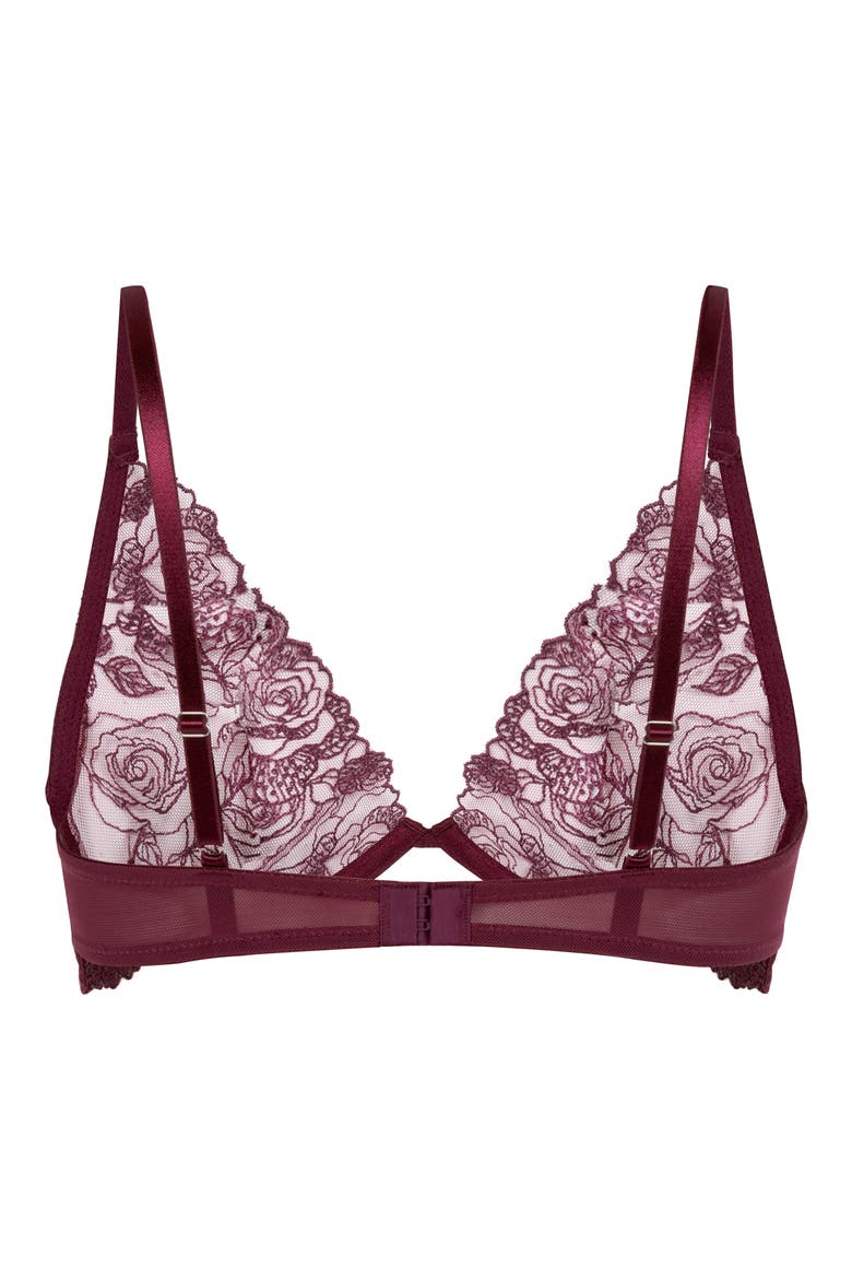 Hollie Embroidered Mesh Underwire Bra, Alternate, color, FIG