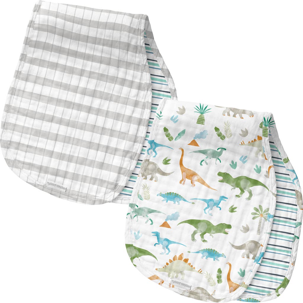 Stephen Joseph 2-Pack Reversible Cotton Muslin Burp Cloths in Dino  product