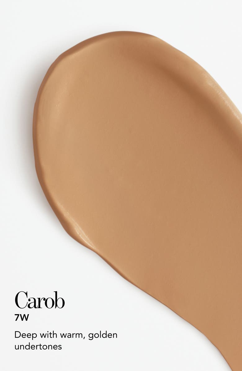 Chantecaille Bio Lifting Concealer, Alternate, color, Carob