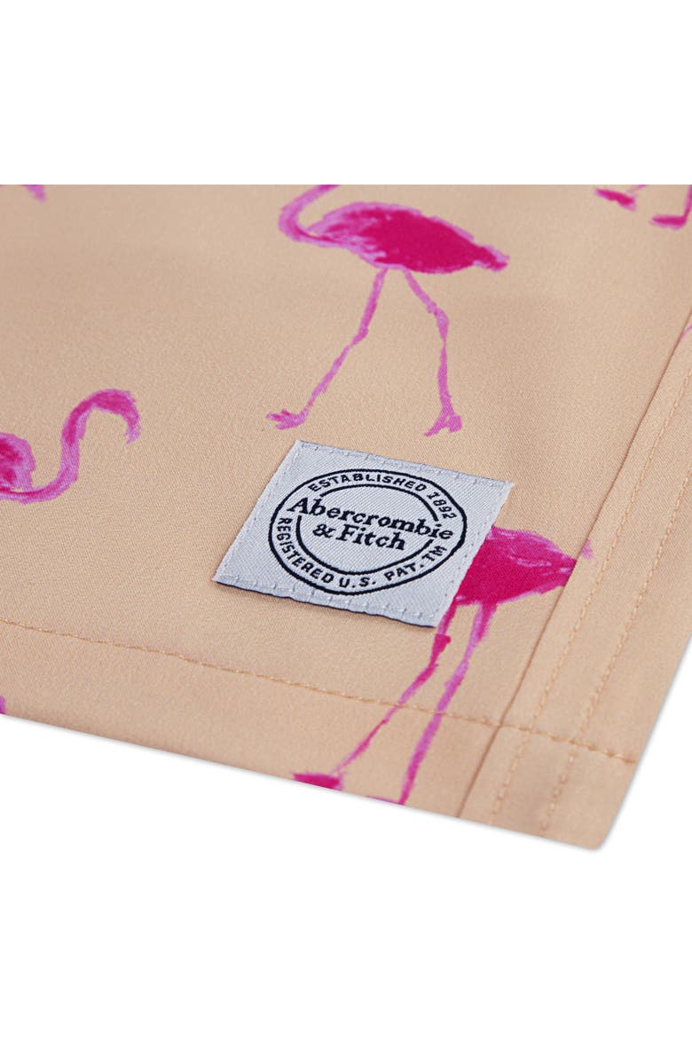 abercrombie kids Kids' Core Swim Trunks, Alternate, color, Bellini