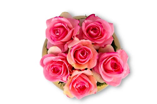 Cocobella Cillian Realtouch Rose Arrangement