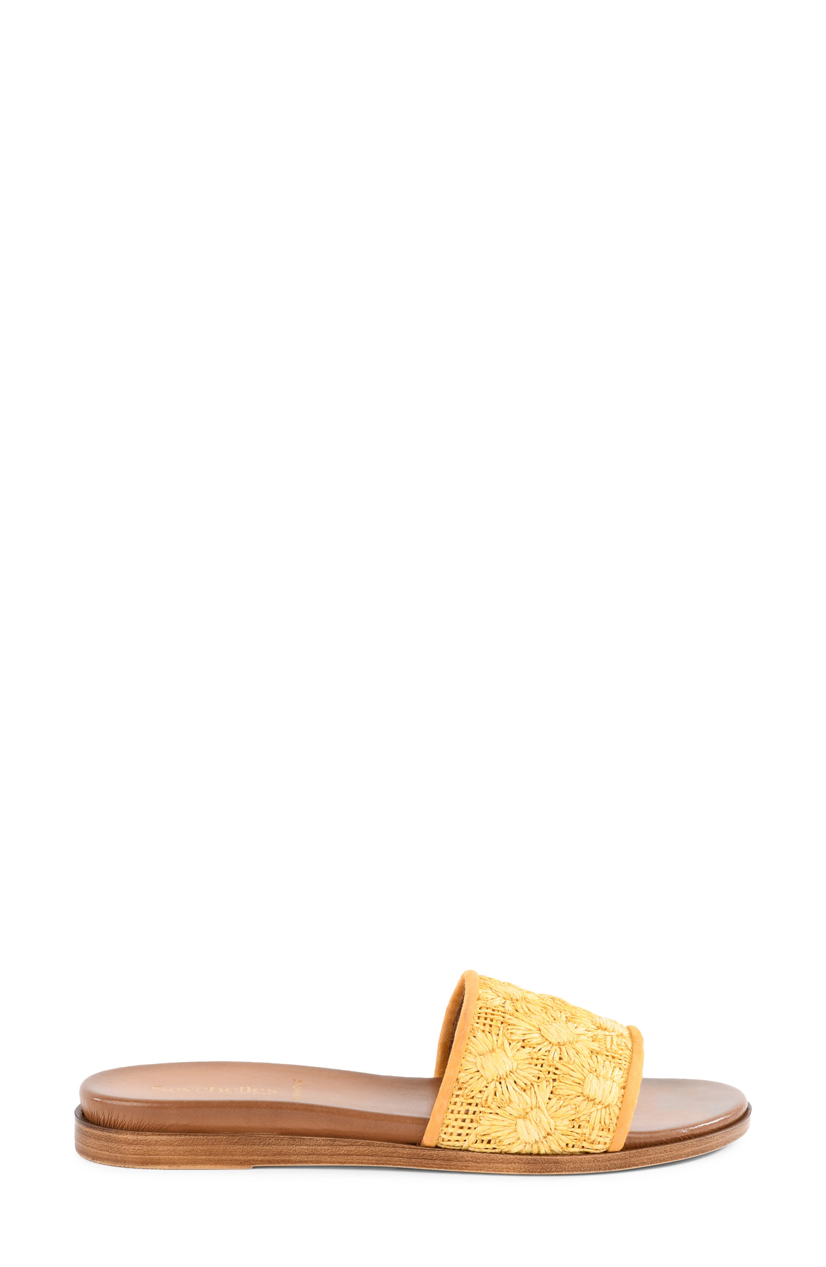 Dakota Slide Sandal, Alternate, color, YELLOW