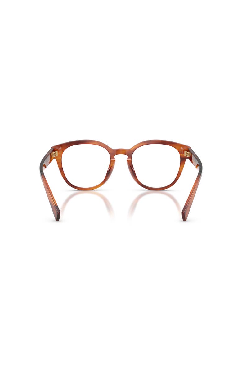 Dolce&Gabbana 50mm Phantos optical glasses, Alternate, color, Brown