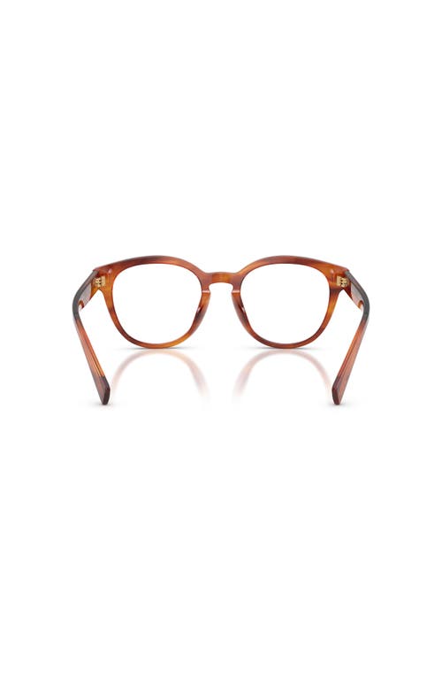 Dolce & Gabbana Dolce&gabbana 50mm Phantos Optical Glasses In Brown