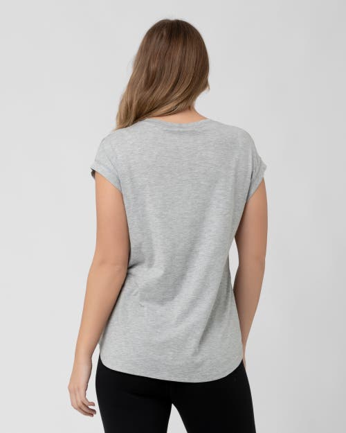 Ripe Maternity Richie Nursing Tee In Gray