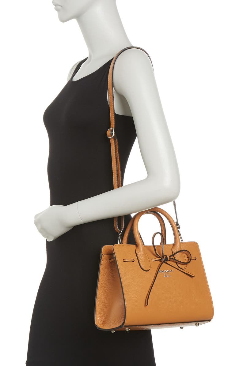 Persaman New York Aubrey Leather Crossbody Bag, Alternate, color,