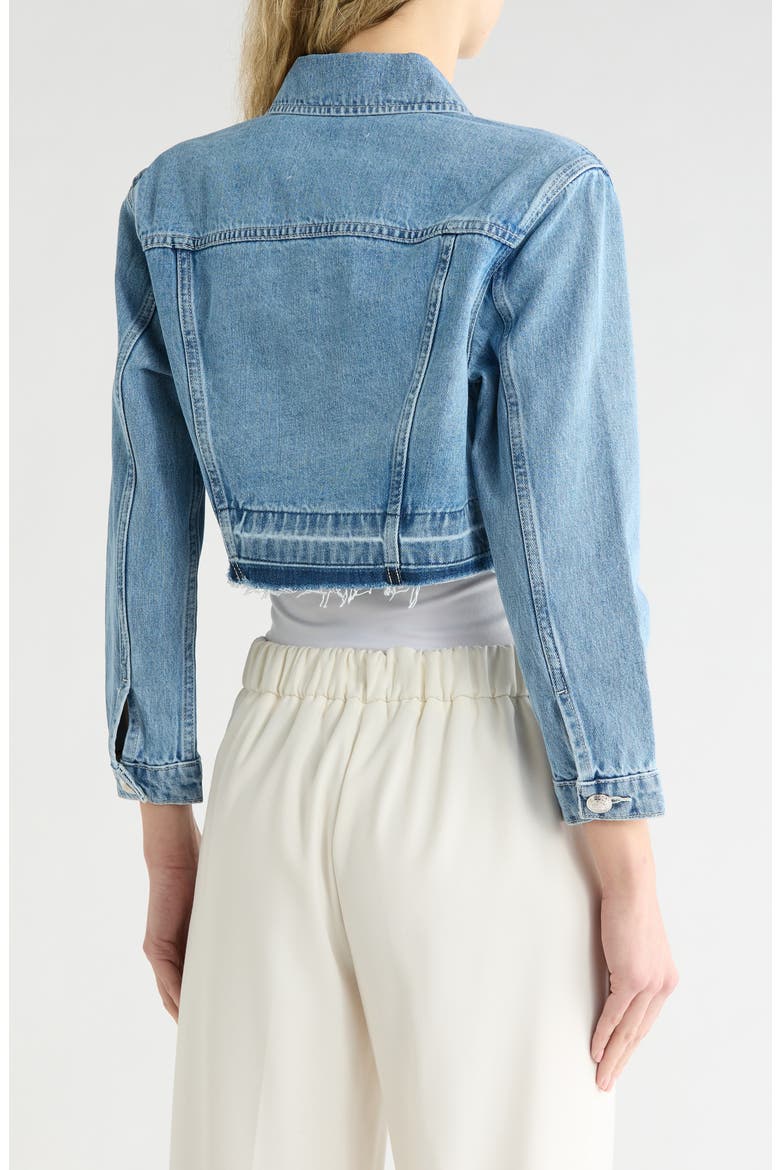 Genevie Raw Hem Crop Denim Jacket, Alternate, color, ZION