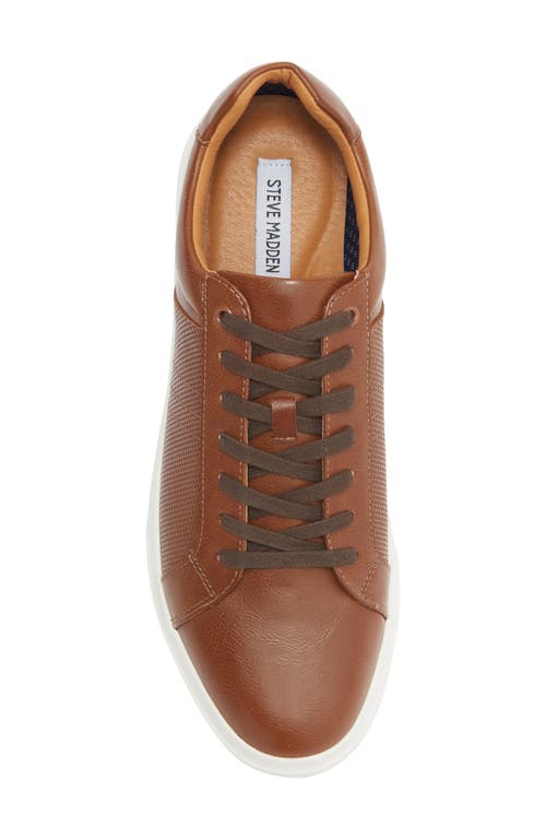 Steve Madden Strouz Low Top Sneaker In Brown