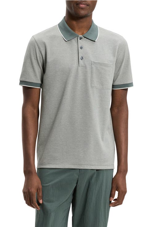 Bird's Eye Polo