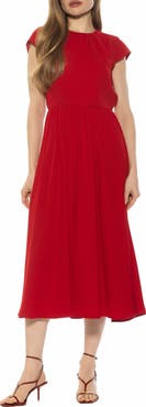Alexia Admor Cassiane Fit & Flare Dress