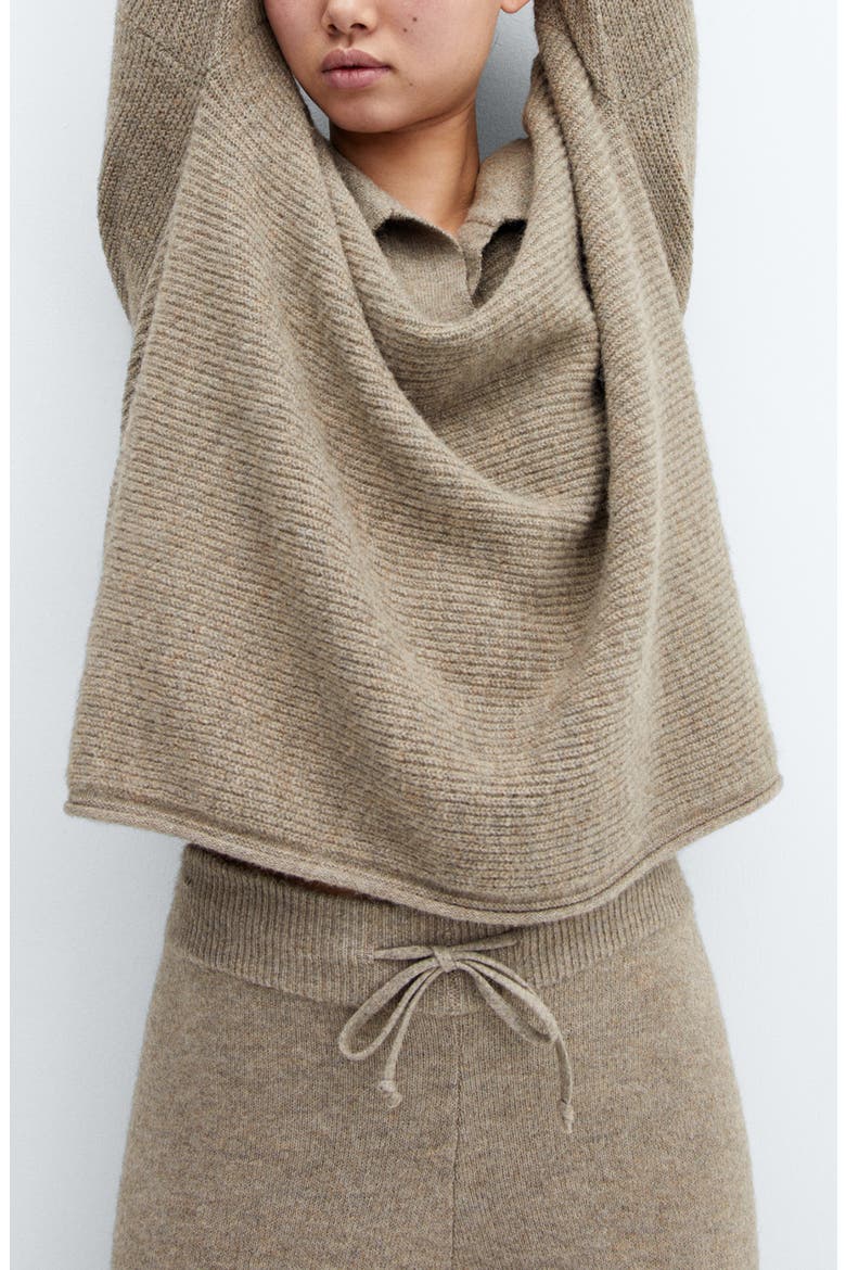 Oversize Rib Polo Sweater, Alternate, color, LIGHT BROWN
