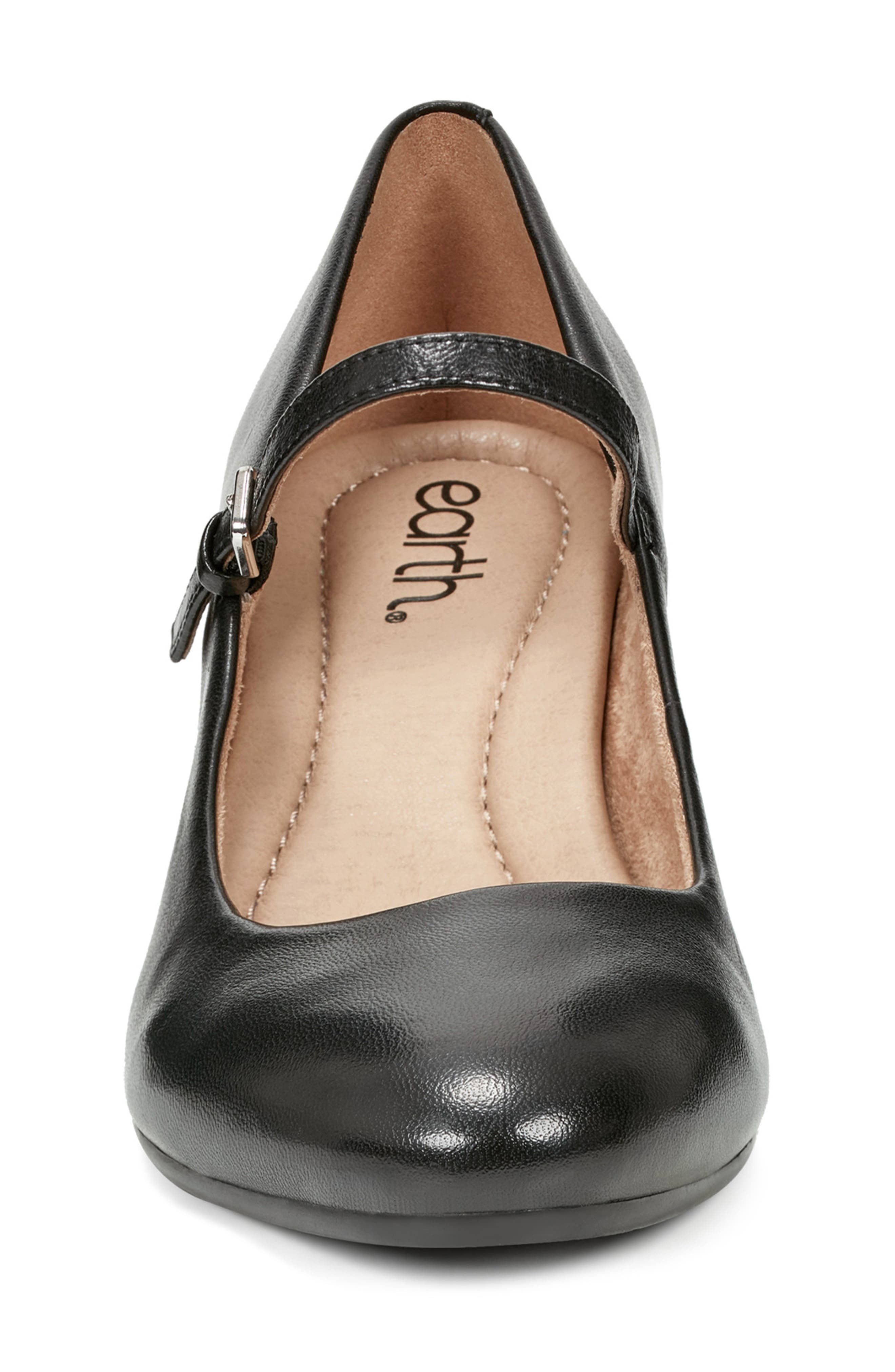 Earth<sup>®</sup> Rumer Mary Jane Pump, Alternate, color, Black