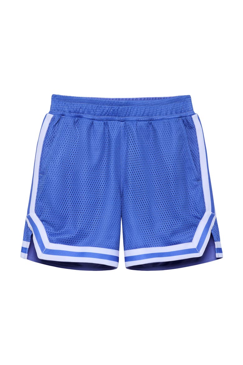 Boys Retro Mesh Basketball Short, Main, color, Sky Blue