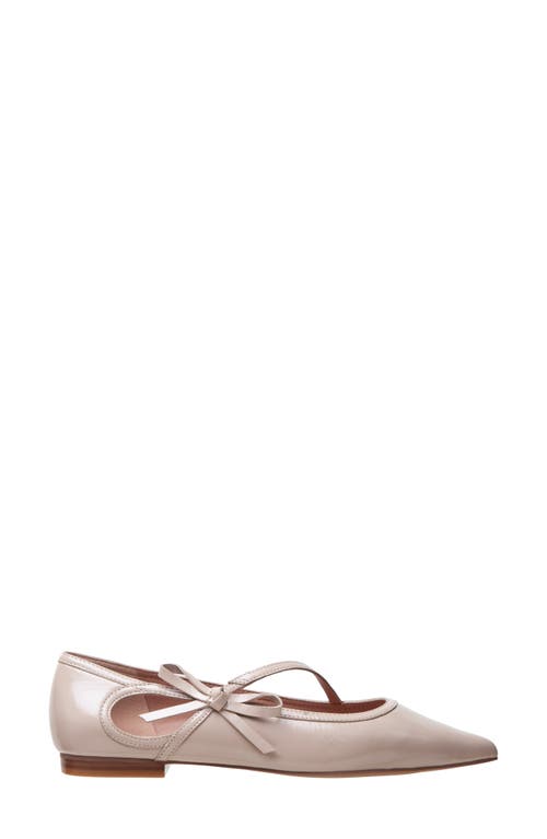Linea Paolo Nuri Bow Pointed Toe Patent Flat In Neutral